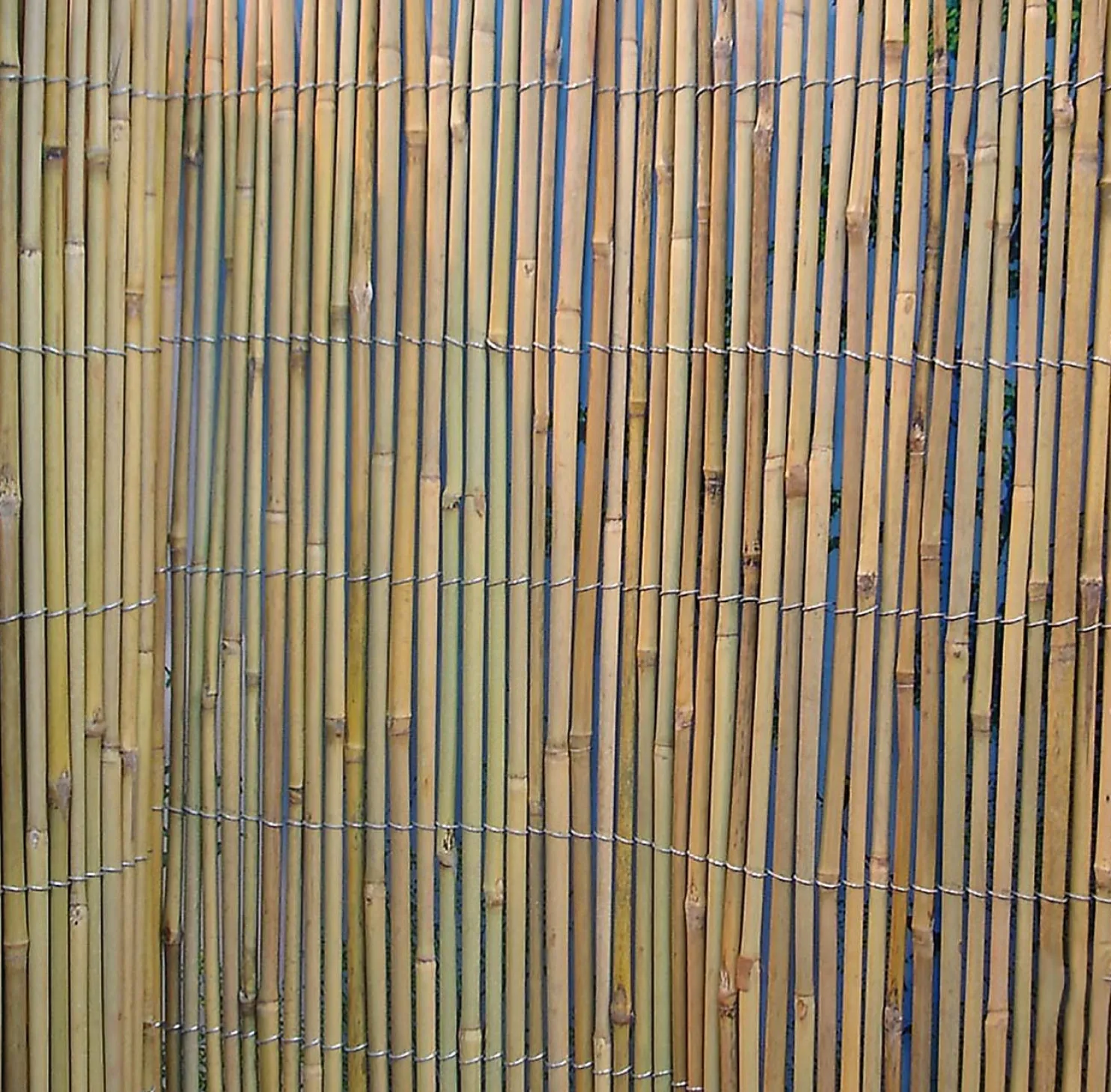 Bambuaita Home4you In Garden 100x500 cm