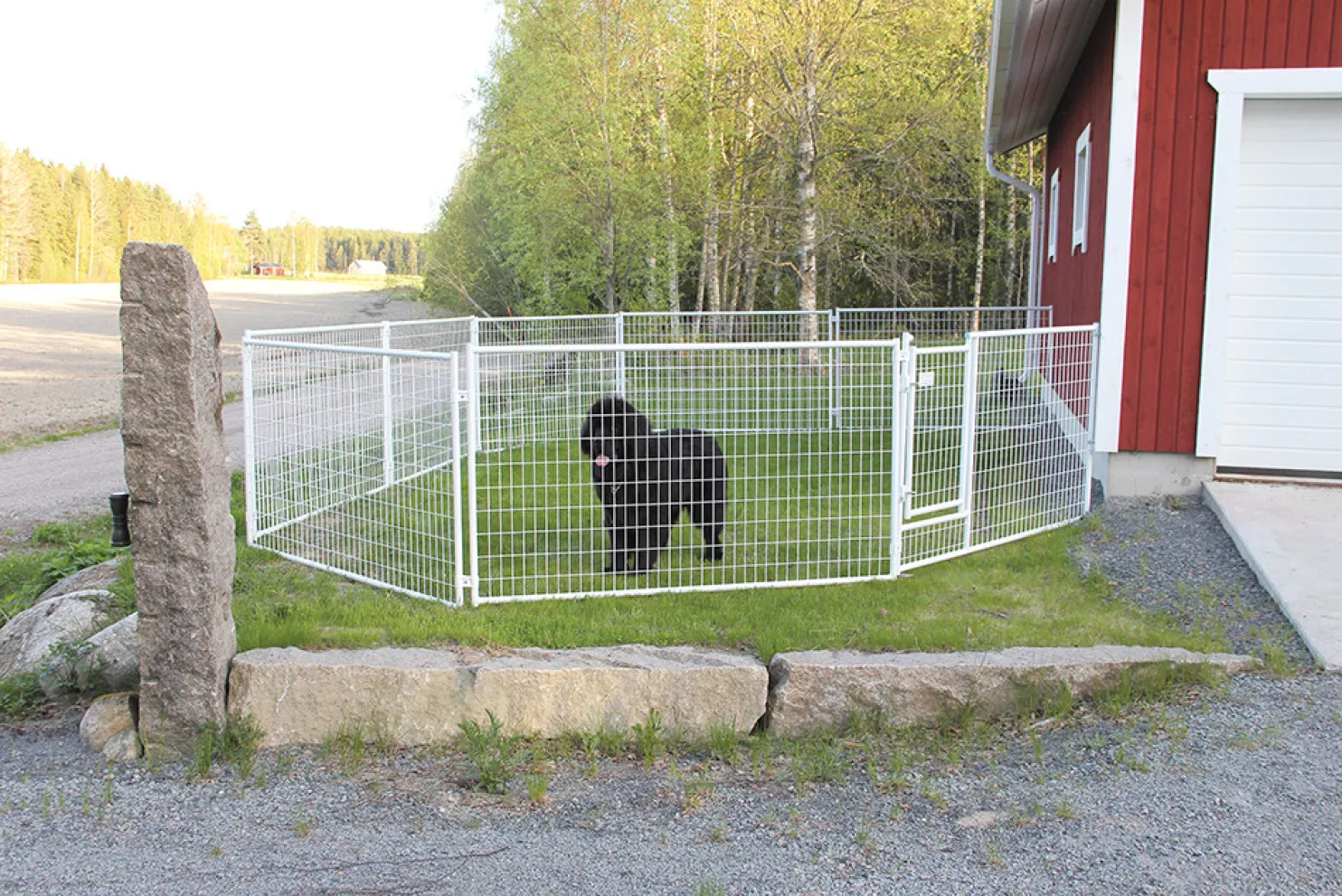 Koiratarha Jämpti Pro MINI 1+11 elementtiä 6x6m eri värejä