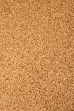 Korkkilattia Floor Experts LiCo Mono, lakattu, 10,5mm