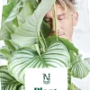 Kukkamulta Nelson Garden Premium