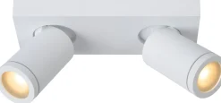 Kylpyhuoneen kattospottivalaisin Lucide Taylor, himmennettävä, 2xGU10 5W 2200K/3000K, IP44, eri värejä