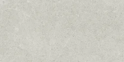Lattialaatta Pukkila Ease Light Grey matta sileä 29,8x59,8 cm