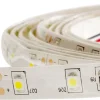 LED-nauha FTLIGHT 4.8 W/m 12V IP65 4000K himmennettävä 5 m/rulla