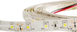 LED-nauha FTLIGHT 4.8 W/m 12V IP65 4000K himmennettävä 5 m/rulla