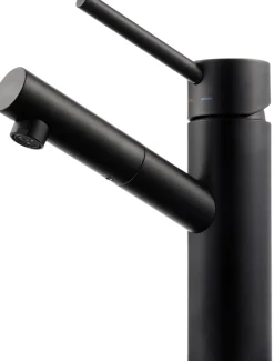Pesuallashana Tapwell BI071 Matte Black, mattamusta