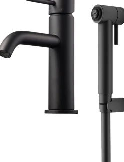 Pesuallashana Tapwell Evo EVM069 Matte Black käsisuihkulla