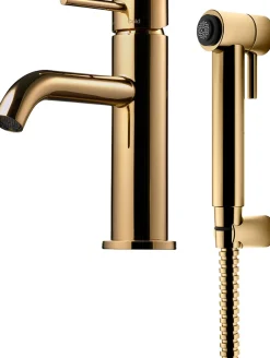 Pesuallashana Tapwell Evo EVM069 käsisuihkulla Brass