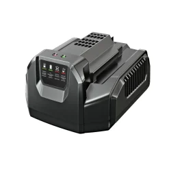 Vakiolaturi Ego Power+ ARC CH2100E, 210W