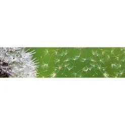 Välitilatarra Dimex Dandelion 180-350x60cm