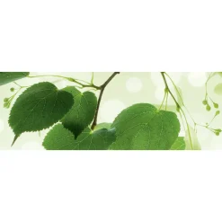 Välitilatarra Dimex Green Leaves 180-350x60cm