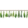 Välitilatarra Dimex Herbs 180-350x60cm