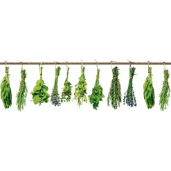Välitilatarra Dimex Herbs 180-350x60cm