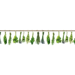 Välitilatarra Dimex Herbs 180-350x60cm