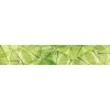Välitilatarra Dimex Leaf Veins 180-350x60cm