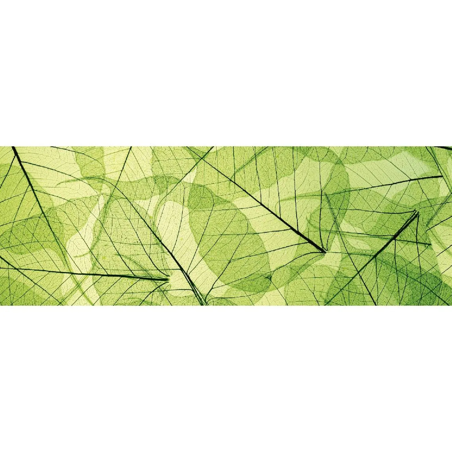 Välitilatarra Dimex Leaf Veins 180-350x60cm
