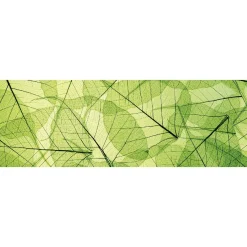 Välitilatarra Dimex Leaf Veins 180-350x60cm