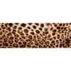 Välitilatarra Dimex Leopard Skin 180-350x60cm