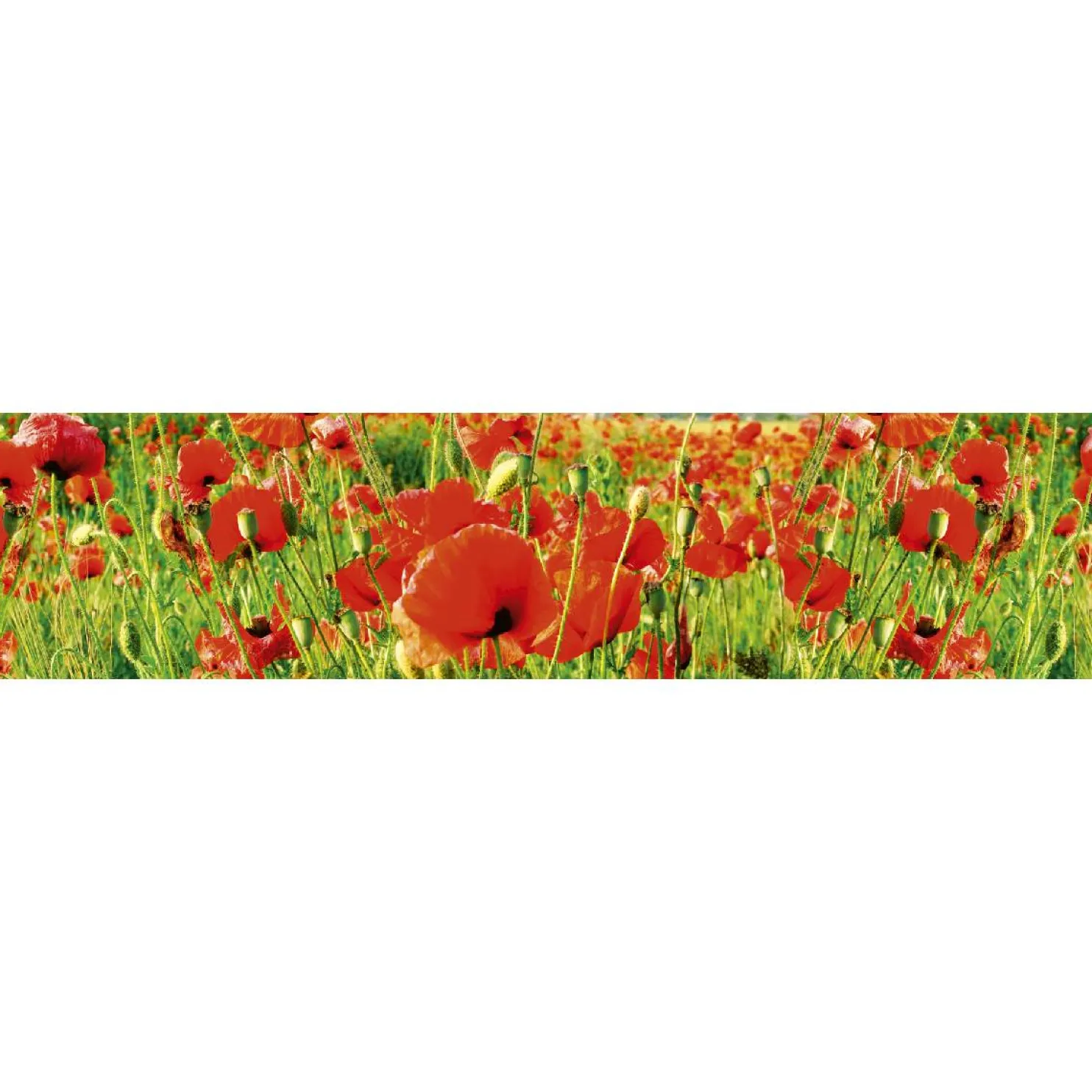 Välitilatarra Dimex Red Poppies 180-350x60cm
