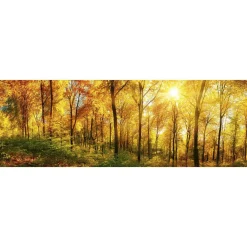 Välitilatarra Dimex Sunny Forest 180-350x60cm