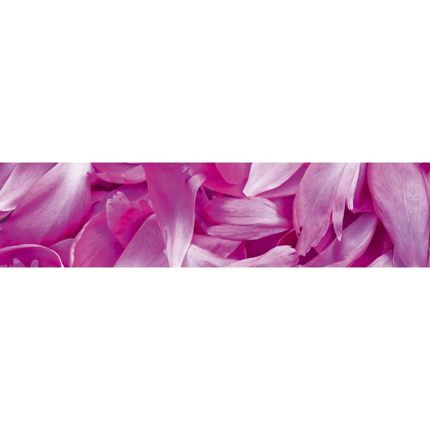 Välitilatarra Dimex Violet Petals 180-350x60cm
