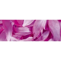 Välitilatarra Dimex Violet Petals 180-350x60cm
