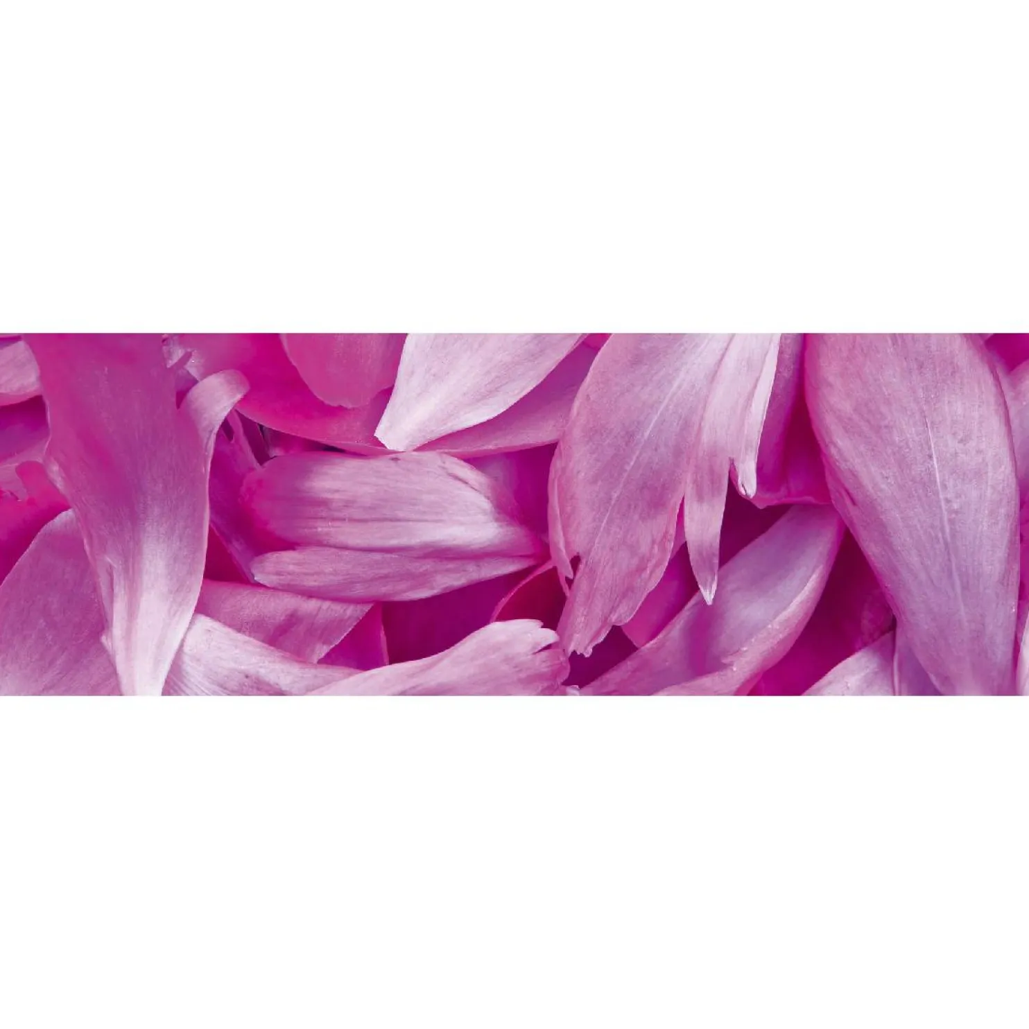 Välitilatarra Dimex Violet Petals 180-350x60cm