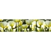 Välitilatarra Dimex White Tulips 180-350x60cm