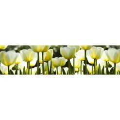 Välitilatarra Dimex White Tulips 180-350x60cm
