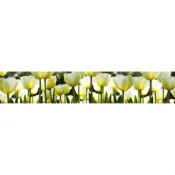 Välitilatarra Dimex White Tulips 180-350x60cm