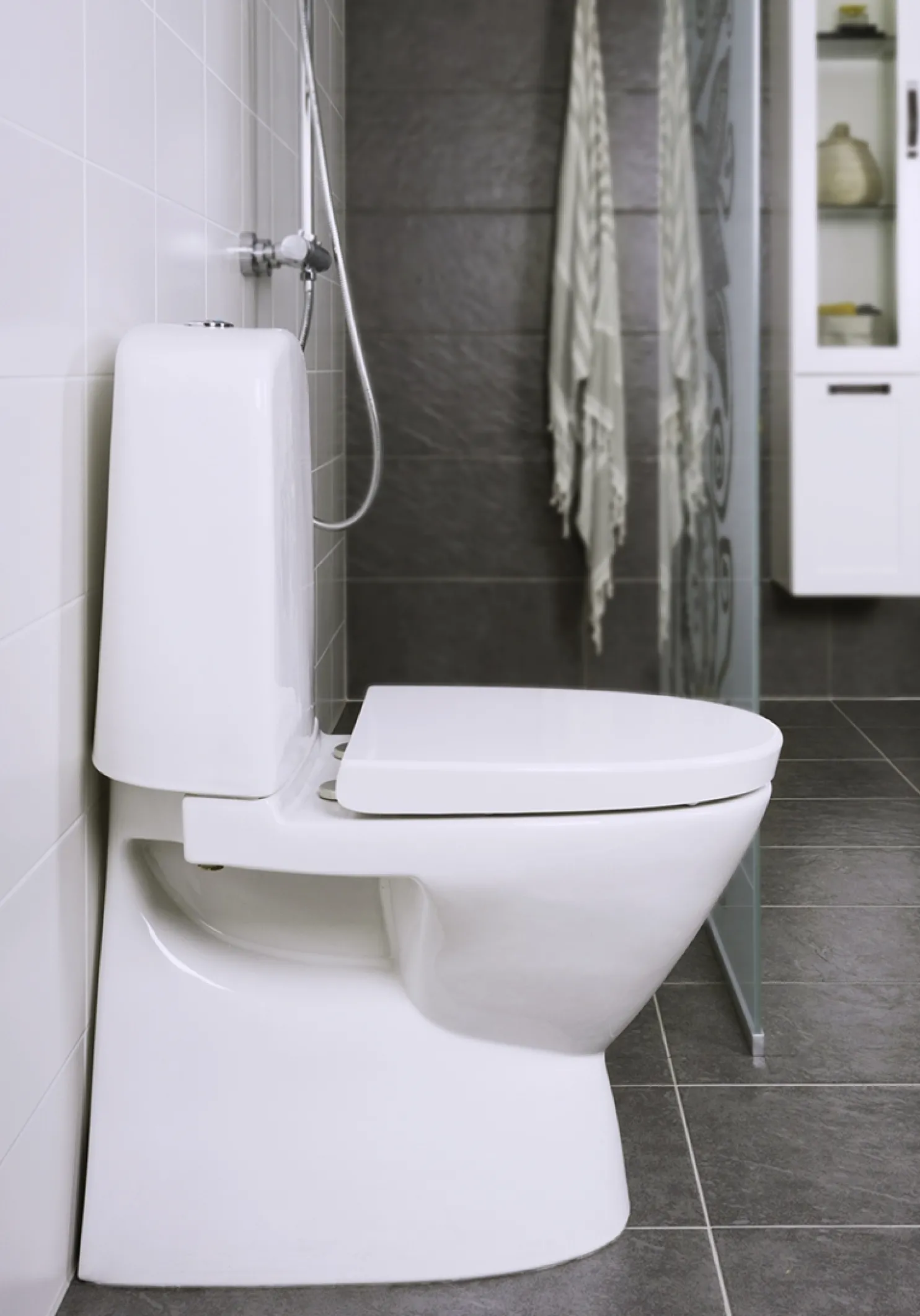 WC-istuin Noro Well No Rim Soft Close -kannella